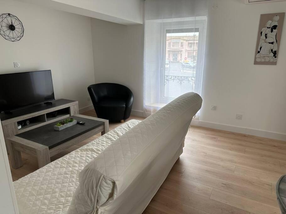 Apartament Chez Gaelle Trèbes Zewnętrze zdjęcie